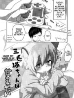 Mikeneko-chan wa Amaetai page 2