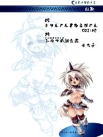Monster Hunter Futanari Drill page 2