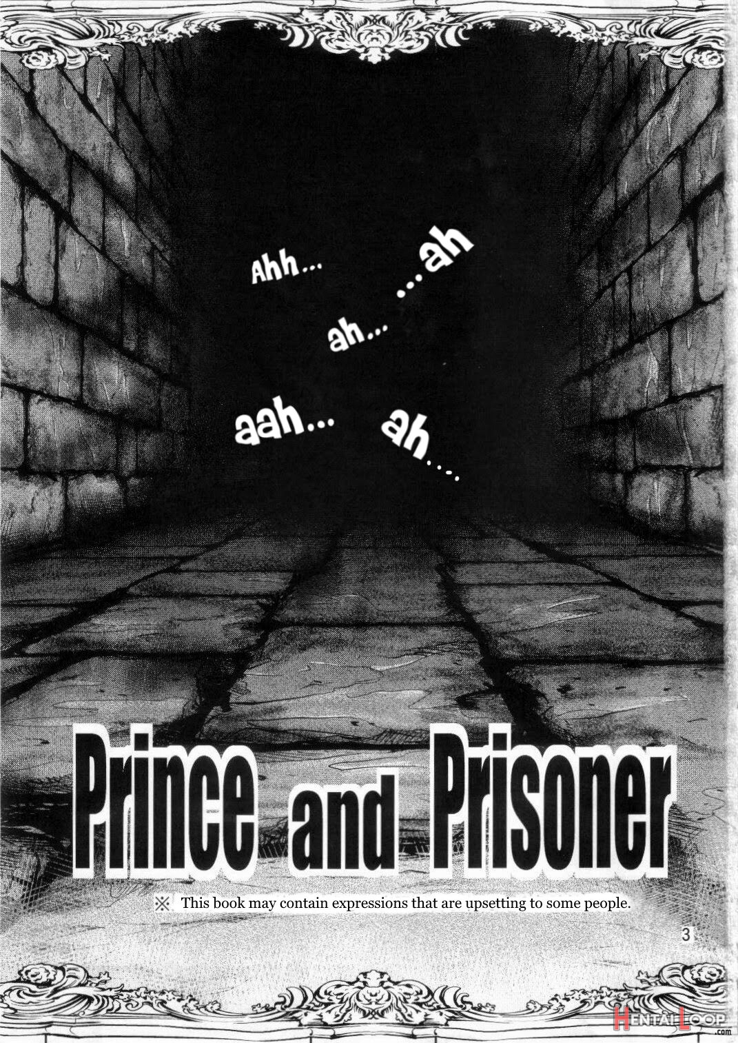 Prince And Prisoner page 3