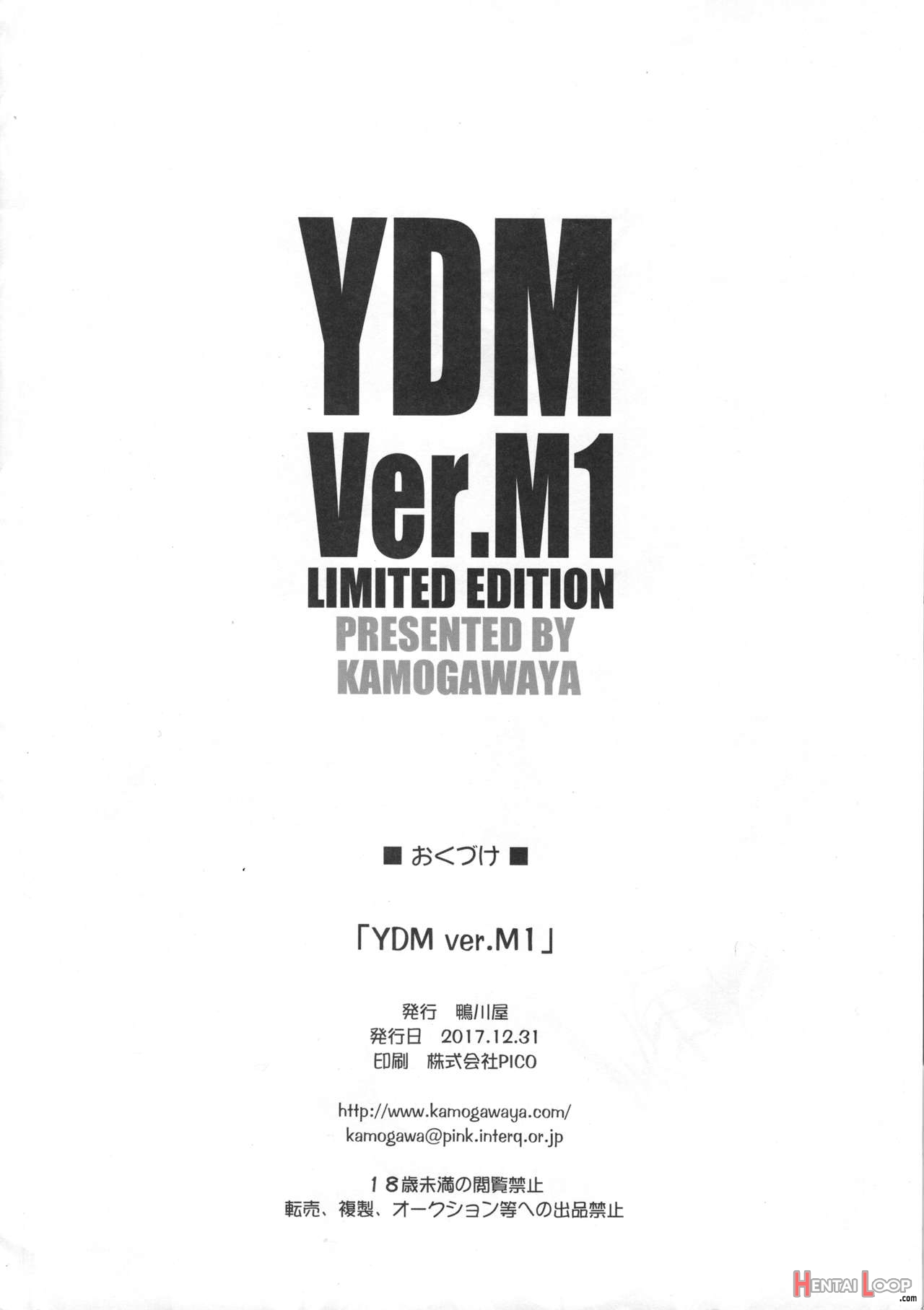 Ydm Ver.m1 page 13